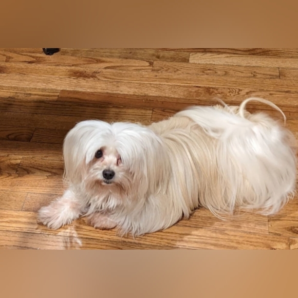 Please Like for Live Show Notification! - Picture 3 of 15